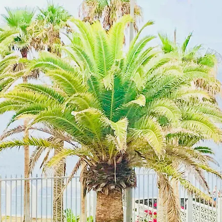 Διαμέρισμα Esmeralda Callao Salvaje